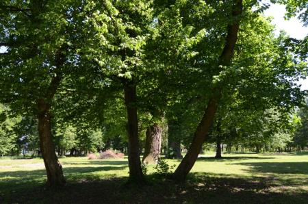 Park na Tišini 1
